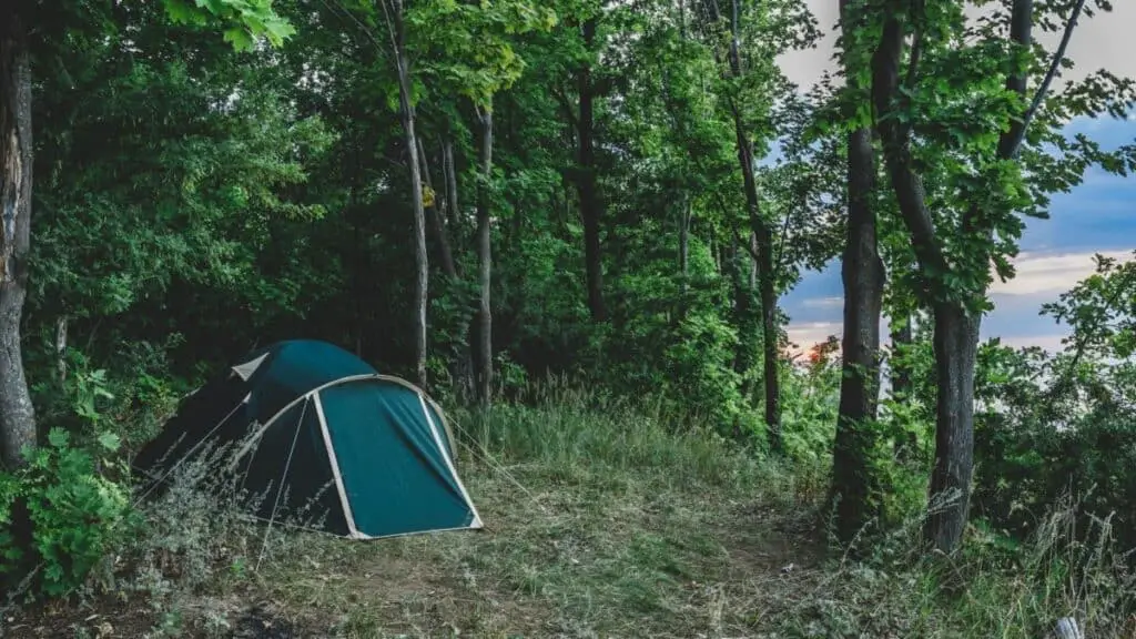 bug out tent in the woods