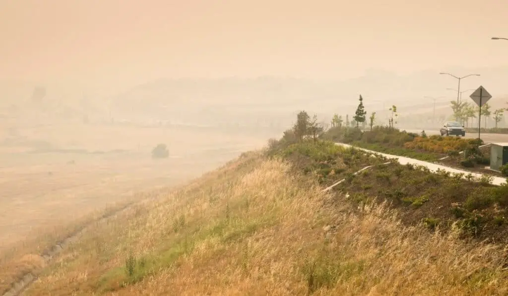 smoggy town